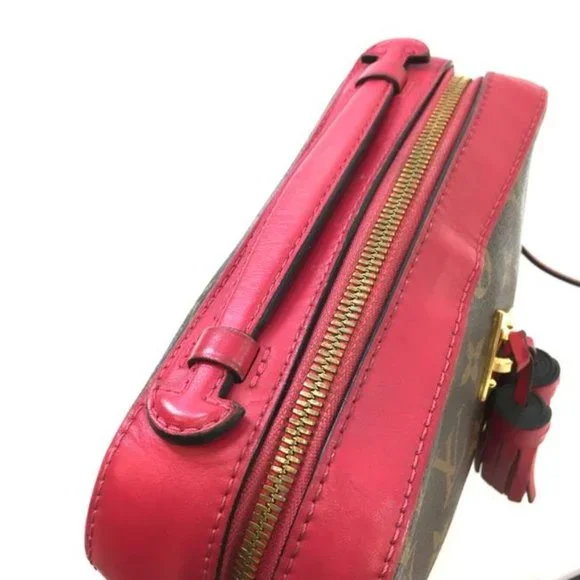 Louis Vuitton Saintonge Clutch #47424 Long Strap Zip Camera Calfskin - Picture 10 of 12